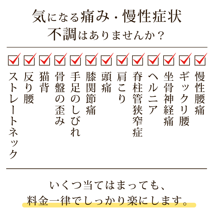 いくつ当てはまっても料金一律でしっかり楽にします。