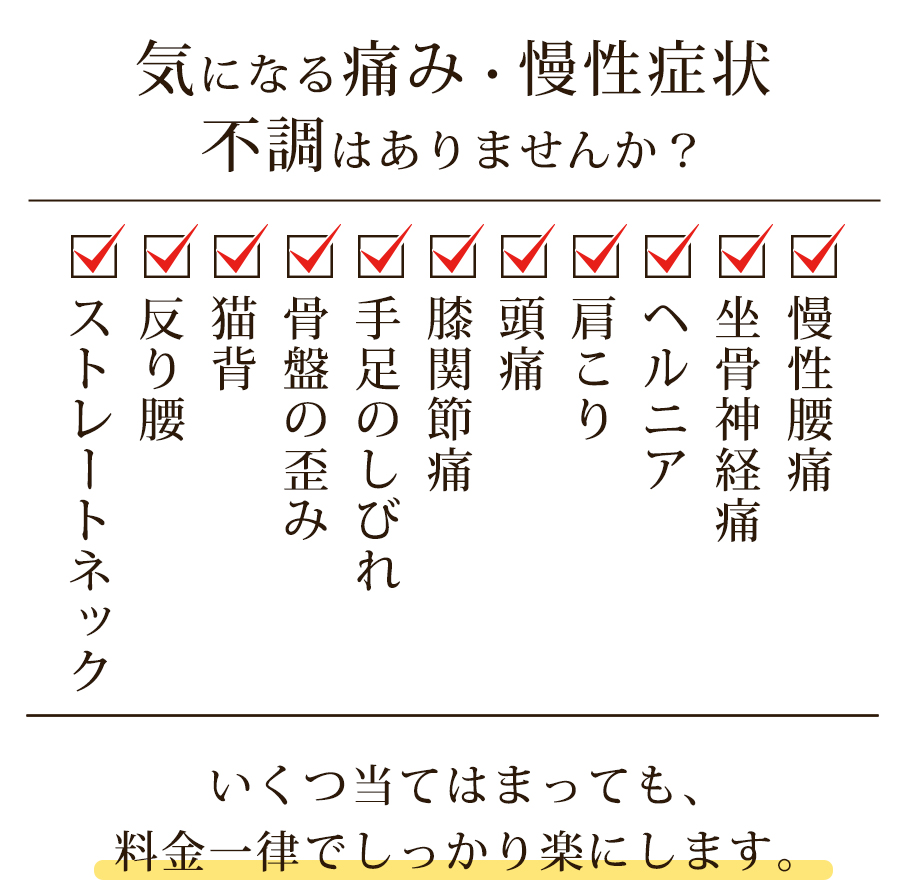 いくつ当てはまっても料金一律でしっかり楽にします。